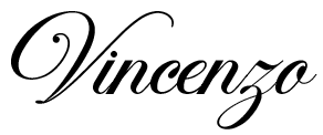 logo-vincenzo